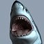 Great White Shark - model