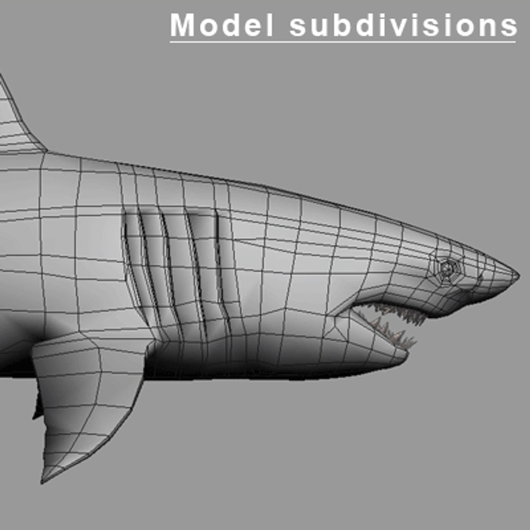 great white shark - 3d max https://p.turbosquid.com/ts-thumb/JP/N1VxR1/tDPjMLl3/gw_picture_09/gif/1153928971/1920x1080/fit_q87/90d978bd18aaee4ee21e2fcc1f8c8170681536b1/gw_picture_09.jpg
