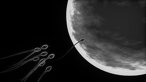 3D sperm