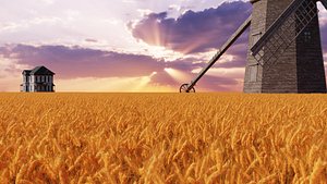 Wheat Field 3d Scene