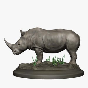 Rhinoceros Asia 3D model