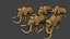Mammoth Pack1