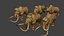 Mammoth Pack1