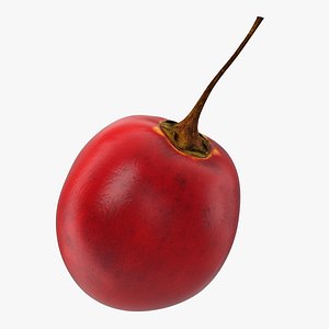 tamarillo special fruit 3D