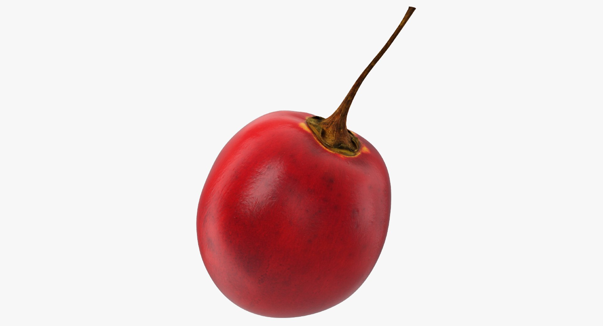 Tamarillo Special Fruit 3D Model 3D model preview