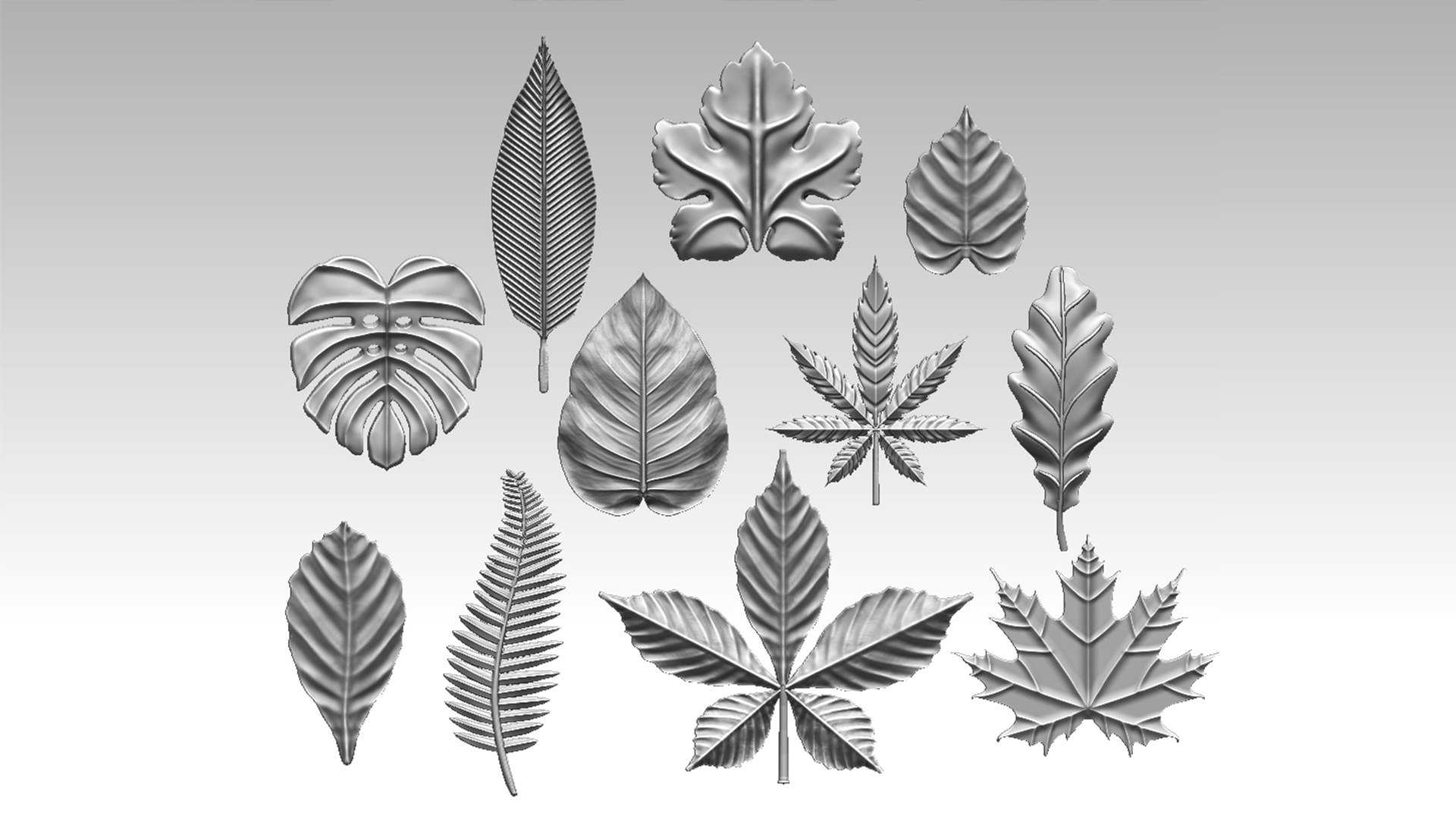 3D Model Leaves - TurboSquid 2262627