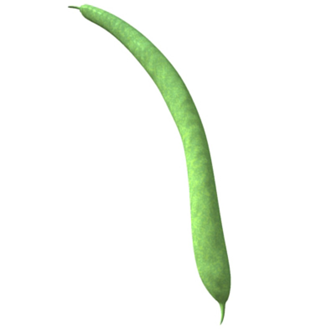 max beans https://p.turbosquid.com/ts-thumb/JP/qSW70Q/9sGUUSSI/fagiolini04/jpg/1240214321/1920x1080/fit_q87/d95b56e54c8d8c7c93baf063b399355586e349bb/fagiolini04.jpg
