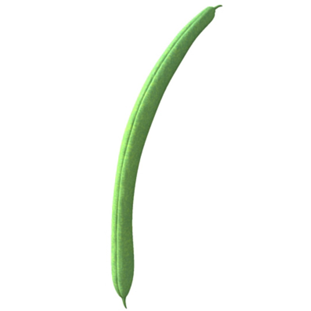 max beans https://p.turbosquid.com/ts-thumb/JP/qSW70Q/Lnrppyml/fagiolini03/jpg/1240214313/1920x1080/fit_q87/535c87b7c70b3a1e4f17af6e884b46172bc9fccb/fagiolini03.jpg