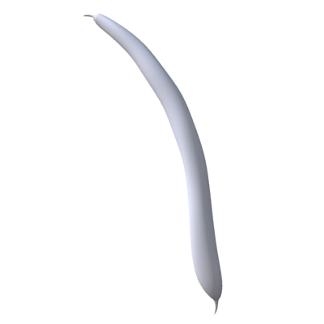 max beans https://p.turbosquid.com/ts-thumb/JP/qSW70Q/vlXYoouU/fagiolini06/jpg/1240214329/1920x1080/fit_q87/0dfba62b4a7449b6431d488f48e53b897ae88535/fagiolini06.jpg