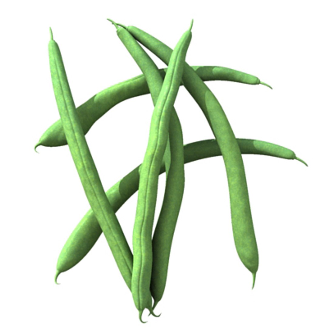 max beans https://p.turbosquid.com/ts-thumb/JP/qSW70Q/yAR726J0/fagiolini01/jpg/1240214295/1920x1080/fit_q87/10cae2c2b54b3fbbd4c452d72a70ddd0377f2556/fagiolini01.jpg