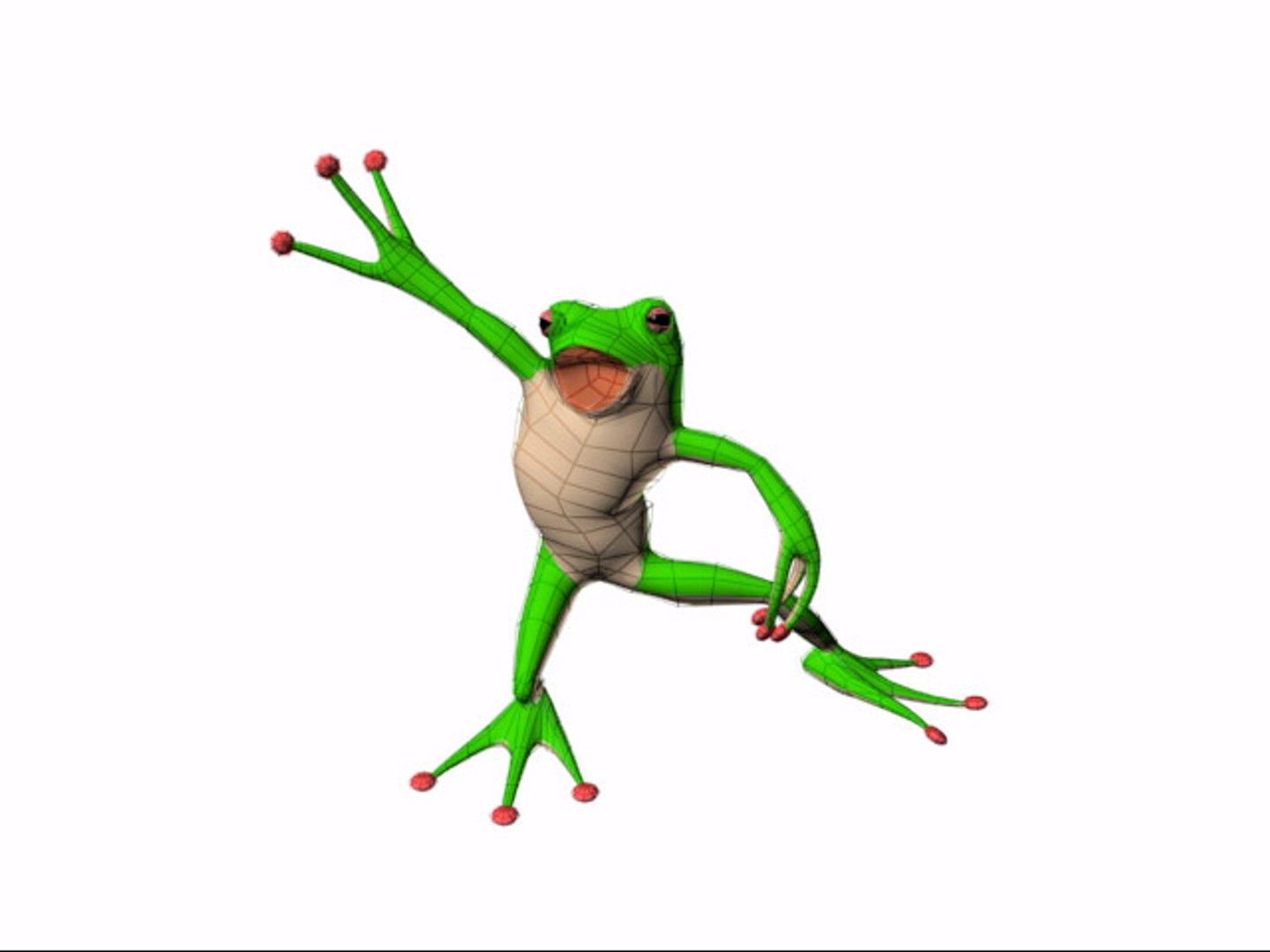 Cartoon Frog Rigged Character 3d Max