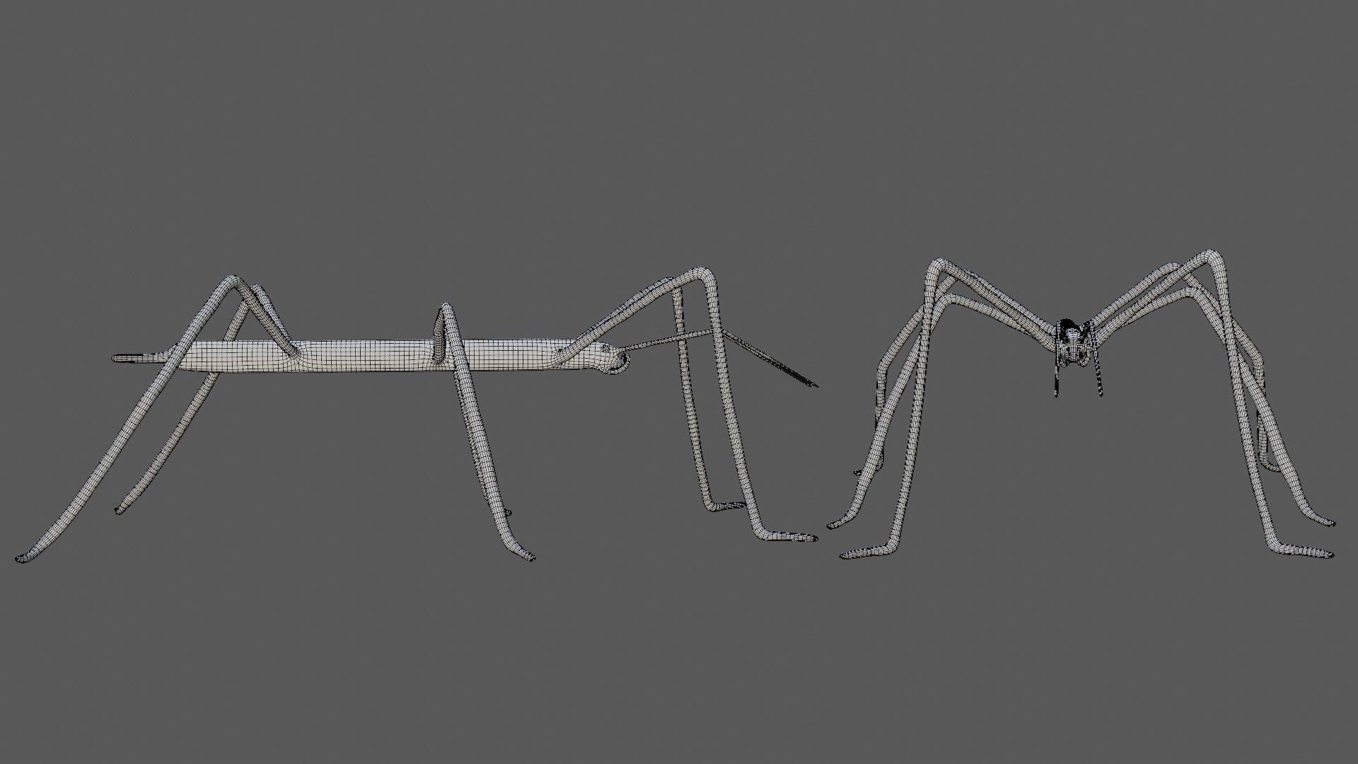 Rigged Stick Insect 3D - TurboSquid 1780705