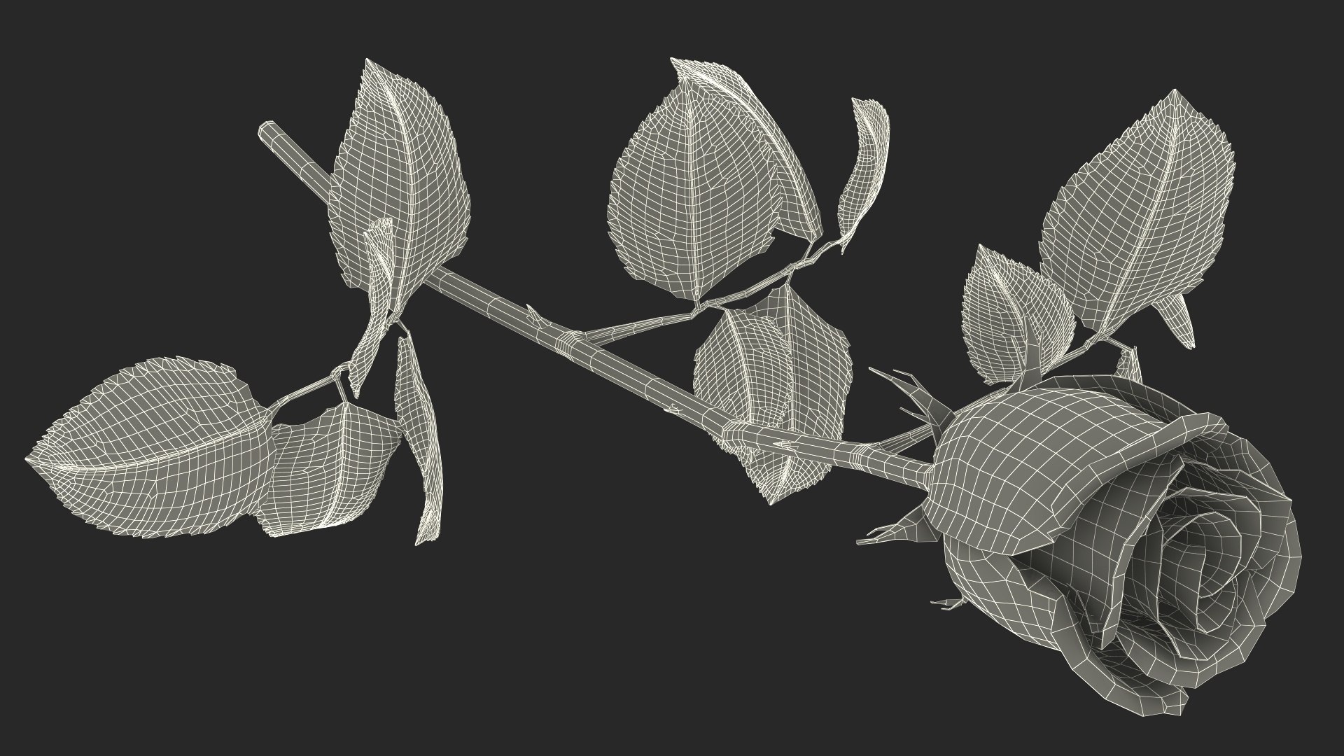 3D Single Stem White Rose with Leaves https://p.turbosquid.com/ts-thumb/JQ/KTfDbn/iR/single_stem_white_rose_with_leaves_021/jpg/1741924156/1920x1080/fit_q87/816af45d56090248abb8df75e059c9d07ef519ce/single_stem_white_rose_with_leaves_021.jpg