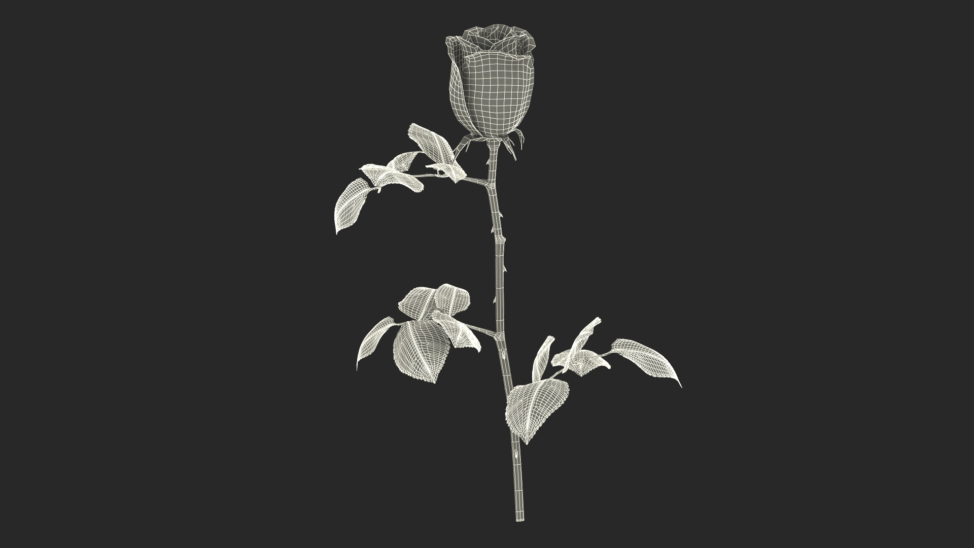 3D Single Stem White Rose with Leaves https://p.turbosquid.com/ts-thumb/JQ/KTfDbn/nO/single_stem_white_rose_with_leaves_361/jpg/1741924023/1920x1080/turn_fit_q99/2187333a46b1a61dc06ad64f4015f0834b2ed528/single_stem_white_rose_with_leaves_361-1.jpg