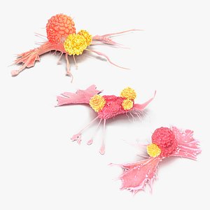 Cancer Cells with Lymphocytes Collection 3D