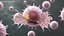 Cancer Cells with Lymphocytes Collection