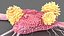 Cancer Cells with Lymphocytes Collection