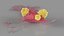 Cancer Cells with Lymphocytes Collection
