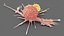 Cancer Cells with Lymphocytes Collection