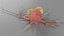 Cancer Cells with Lymphocytes Collection