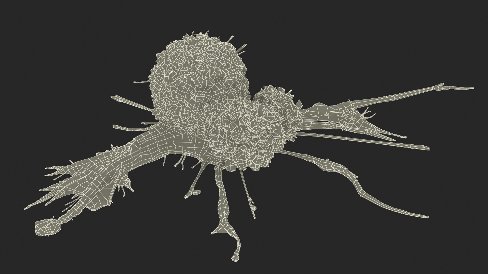 Cancer Cells with Lymphocytes Collection 3D https://p.turbosquid.com/ts-thumb/JQ/RlAMxT/zO/cancercellswithlymphocytescollection3dmodel027/jpg/1720867597/1920x1080/fit_q87/a133ab1ec97a31da3cab267d0828c59fc2d1674a/cancercellswithlymphocytescollection3dmodel027.jpg