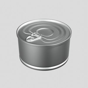 3D model realistic tin