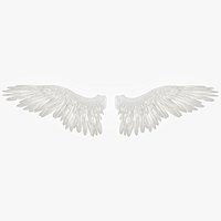 Highly Detailed RIGGED ANGEL or BIRD WINGS