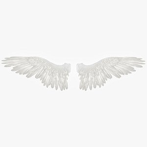 Highly Detailed RIGGED ANGEL or BIRD WINGS