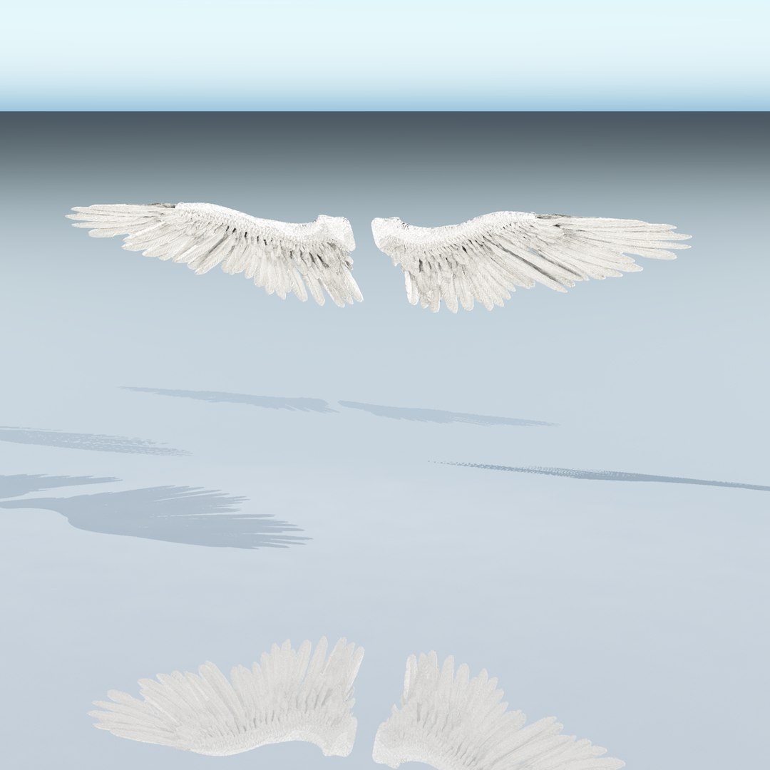 3d Fully Rigged Bird Wings