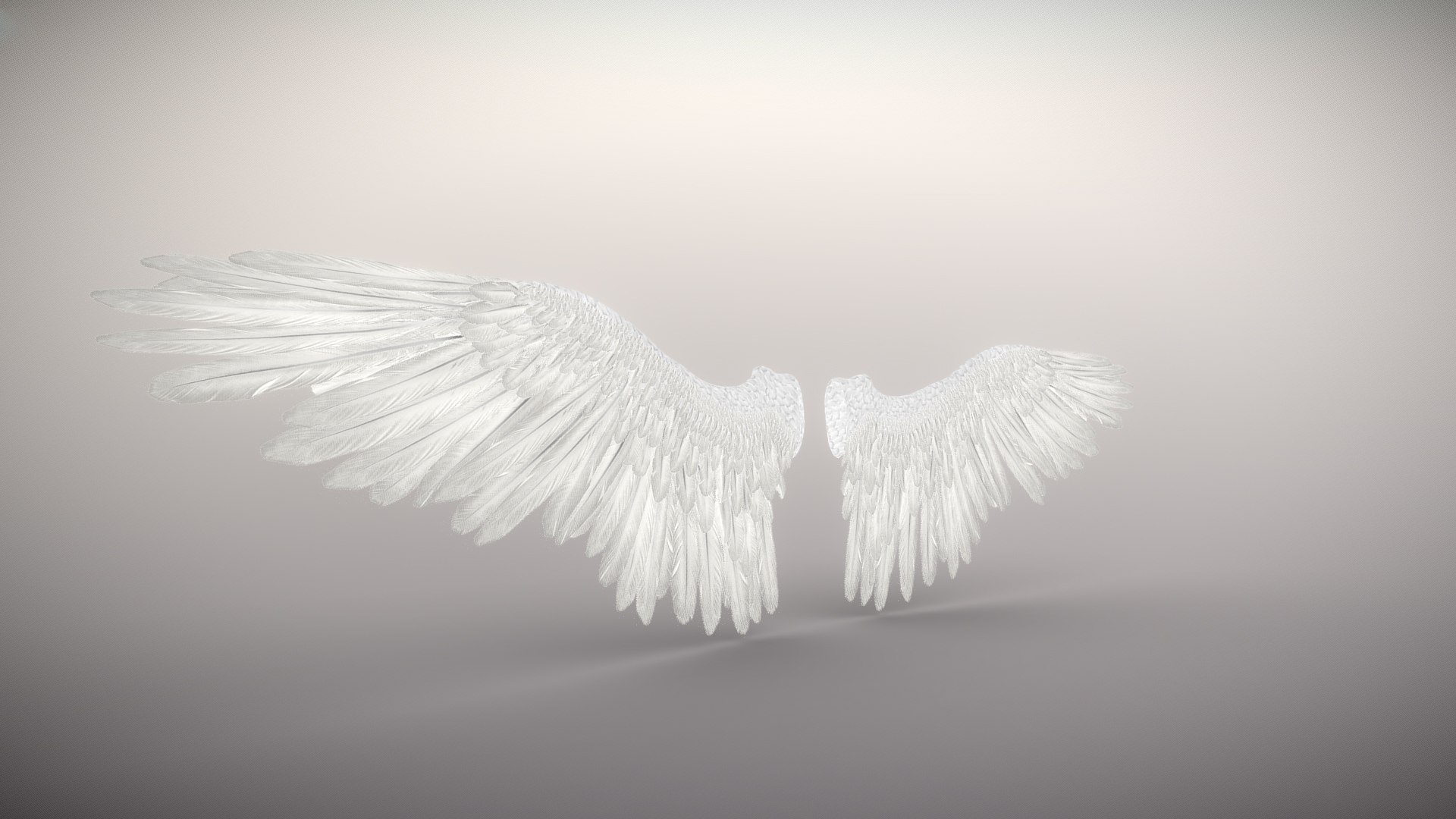3d Fully Rigged Bird Wings