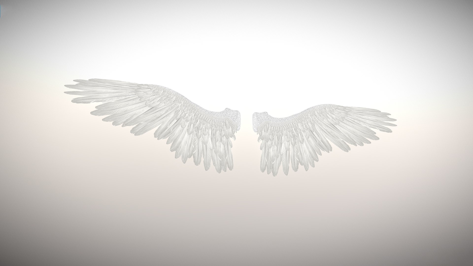 3d Fully Rigged Bird Wings