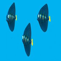 Cartoon Fish - Sailfin