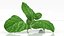 3D model lemon mint food