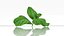 3D model lemon mint food
