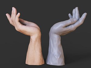 3D Male Hand Pose 23 model