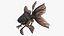 Black Moor Goldfish Swimming Pose 3D
