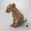 Puma Cub Sitting Pose