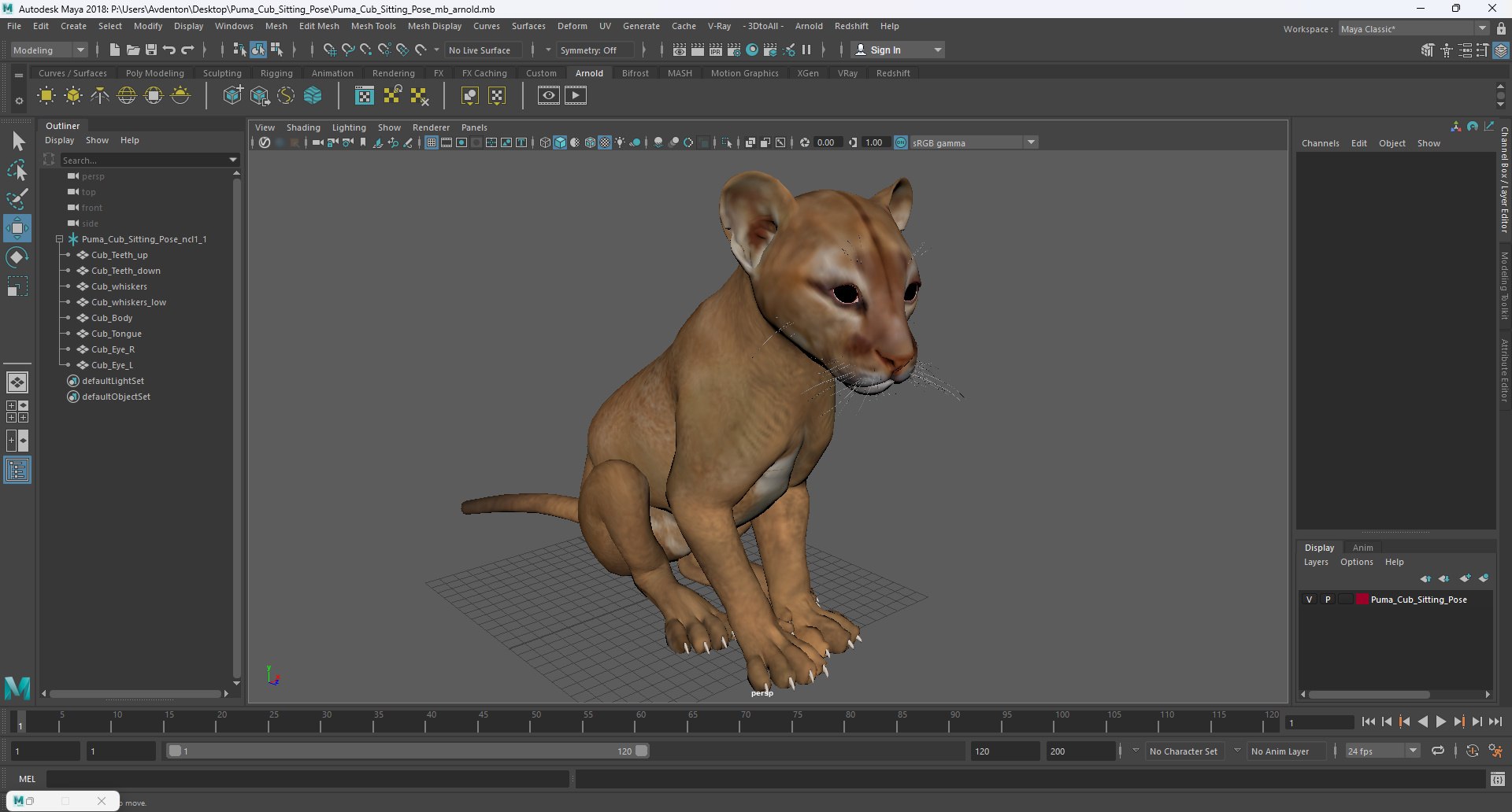 Puma Cub Sitting Pose 3D model https://p.turbosquid.com/ts-thumb/JQ/jat2hw/aY/puma_cub_sitting_pose_1003/jpg/1737166662/1920x1080/fit_q87/6fb0cc04b3d46a62bc7c4da776d046f8b75b1c7b/puma_cub_sitting_pose_1003.jpg