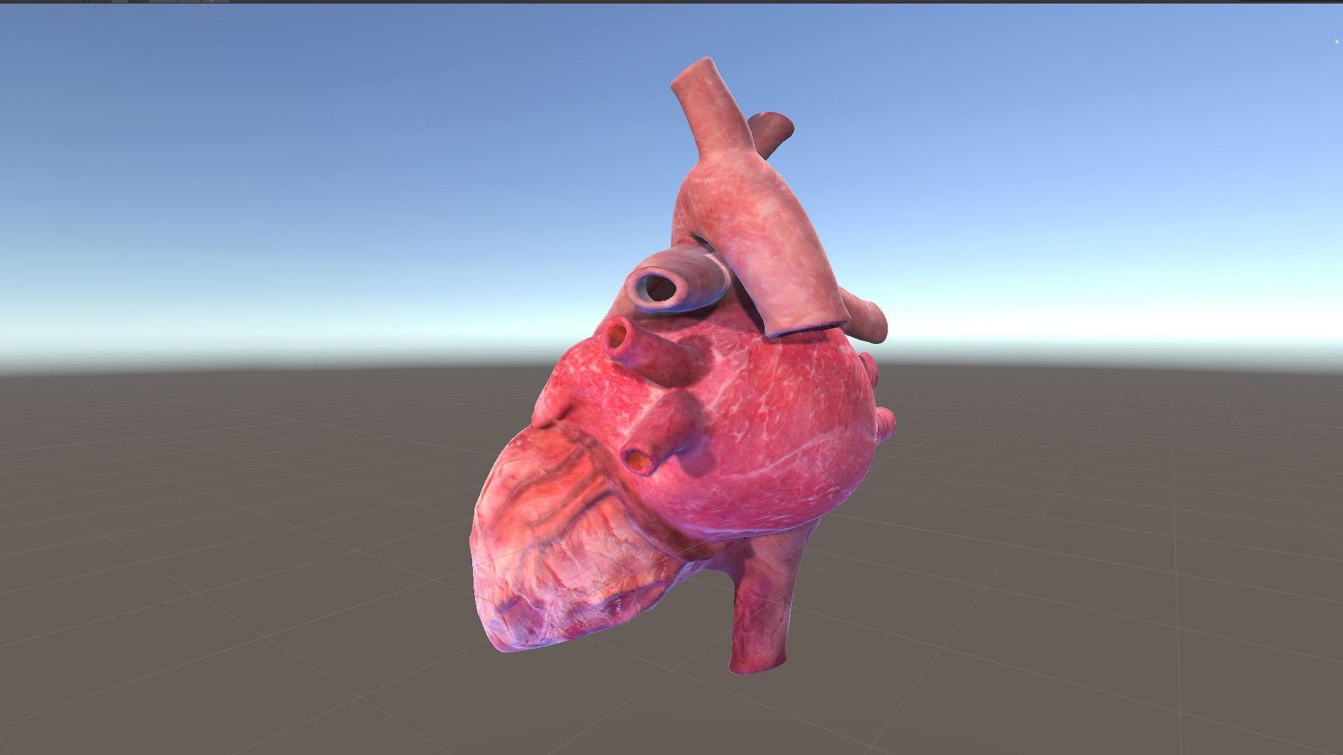 Heart Rate Animation 3D Model - TurboSquid 1775399