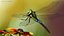 Rigged Flying Insects Collection 3