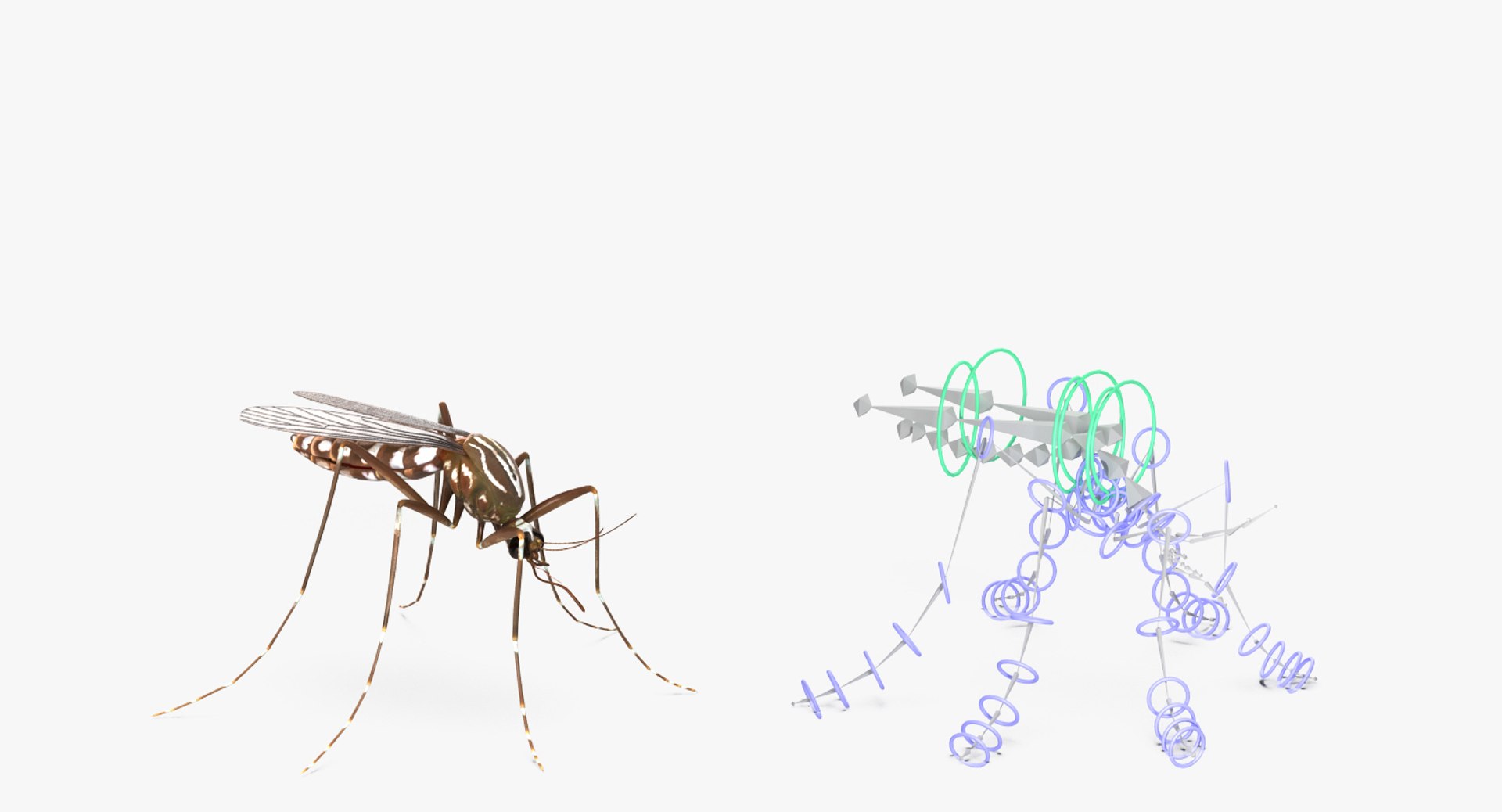 Rigged Flying Insects Collection 3 3D model https://p.turbosquid.com/ts-thumb/JQ/zY7AlO/3V/riggedflyinginsectscollection3mb3dmodel081/jpg/1670764566/1920x1080/fit_q87/72a99c7ed9fc6709dcaed013e59c0b6e8359546f/riggedflyinginsectscollection3mb3dmodel081.jpg