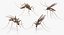Rigged Flying Insects Collection 3