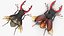Rigged Flying Insects Collection 3
