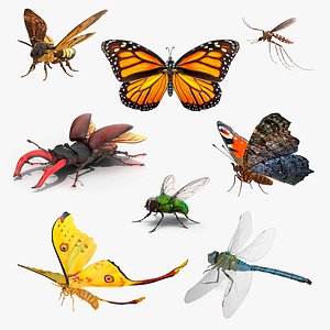 Rigged Flying Insects Collection 3 3D model