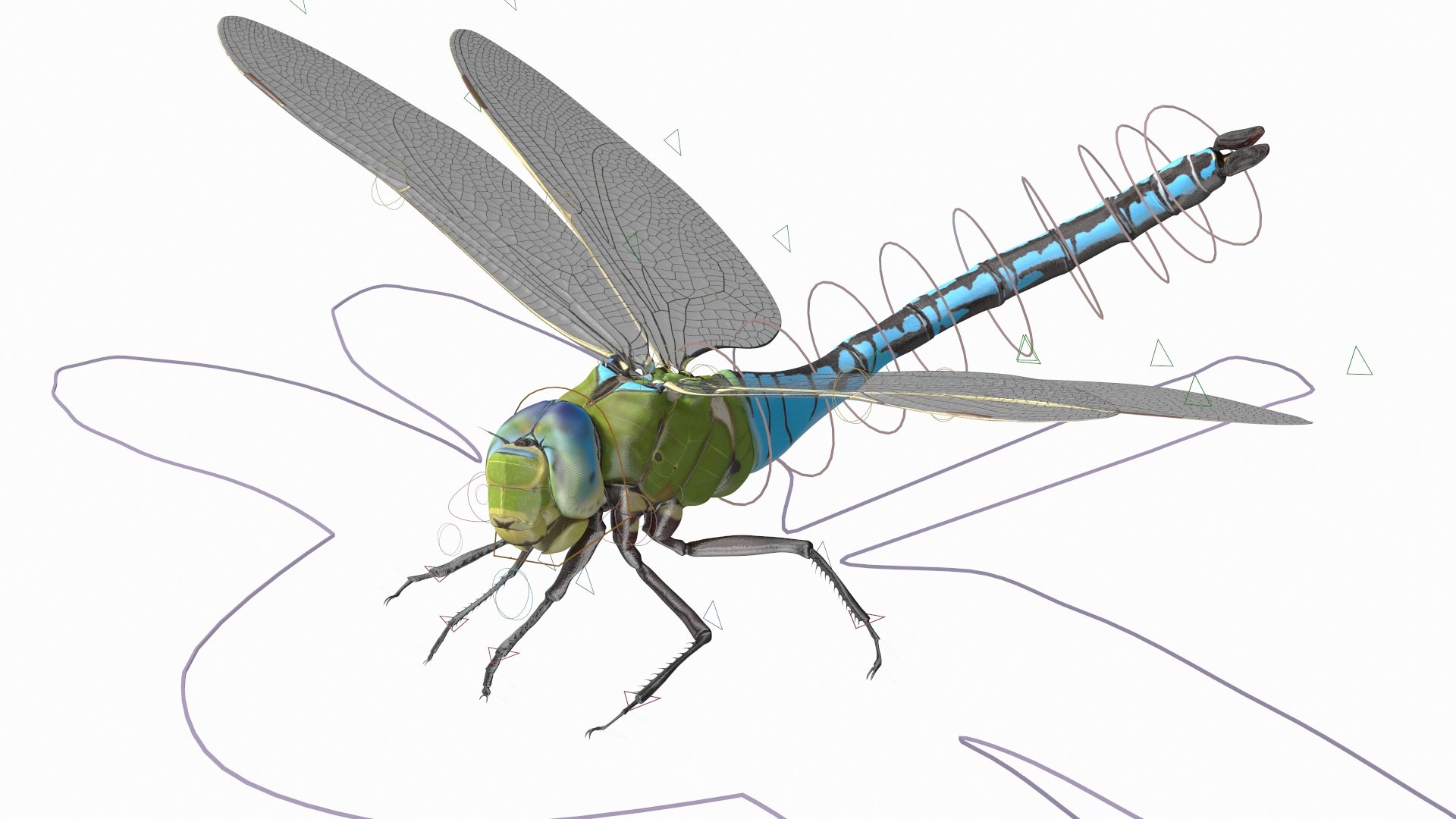 Rigged Flying Insects Collection 3 3D model https://p.turbosquid.com/ts-thumb/JQ/zY7AlO/6M/riggedflyinginsectscollection3mb3dmodel011/jpg/1670764312/1920x1080/fit_q87/1b3d6ba2589aeaeee99129a2892aa049501a4f91/riggedflyinginsectscollection3mb3dmodel011.jpg