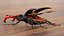 Rigged Flying Insects Collection 3