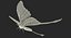 Rigged Flying Insects Collection 3