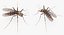 Rigged Flying Insects Collection 3