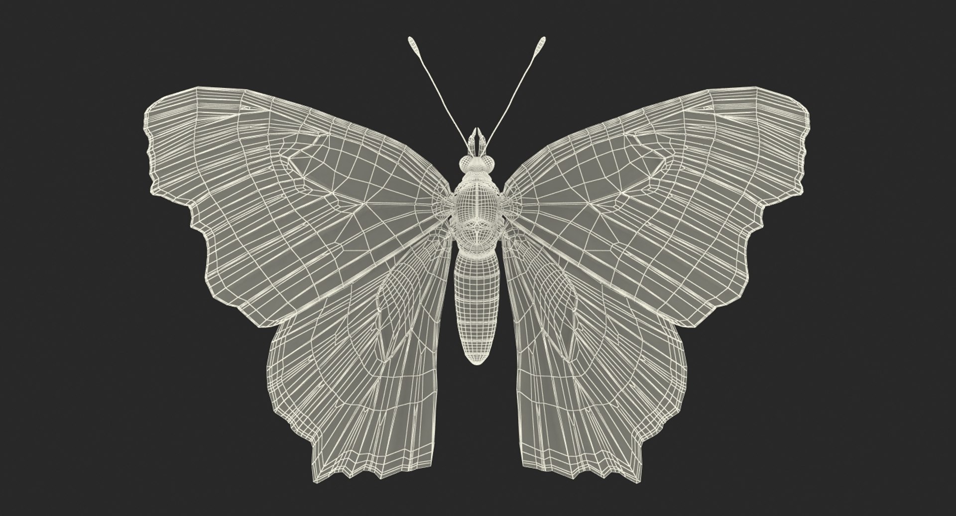 Rigged Flying Insects Collection 3 3D model https://p.turbosquid.com/ts-thumb/JQ/zY7AlO/Jd/riggedflyinginsectscollection3mb3dmodel094/jpg/1670764613/1920x1080/fit_q87/3a7662d25d9f917d035f6a605618fc5965be6884/riggedflyinginsectscollection3mb3dmodel094.jpg
