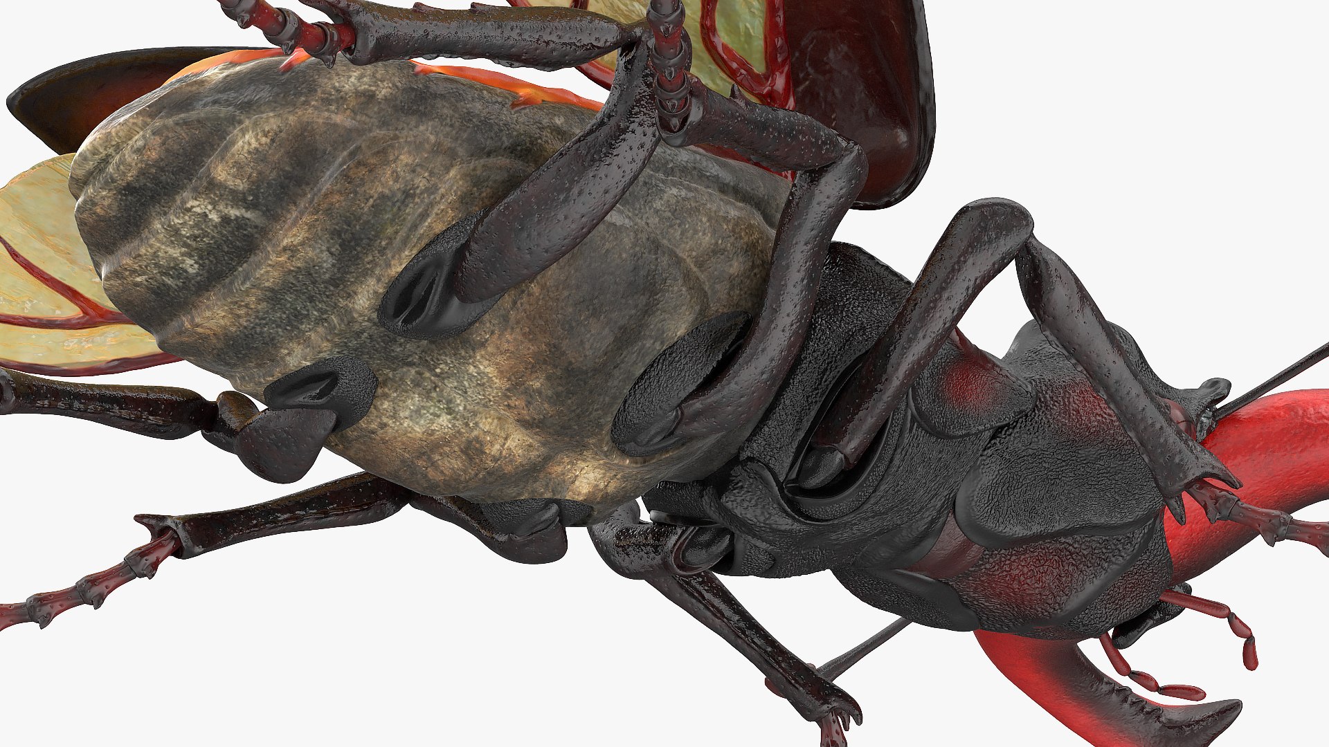 Rigged Flying Insects Collection 3 3D model https://p.turbosquid.com/ts-thumb/JQ/zY7AlO/KB/riggedflyinginsectscollection3mb3dmodel046/jpg/1670764441/1920x1080/fit_q87/a7e4f2a995ed9bbde5225392abb7746e09cccdf0/riggedflyinginsectscollection3mb3dmodel046.jpg